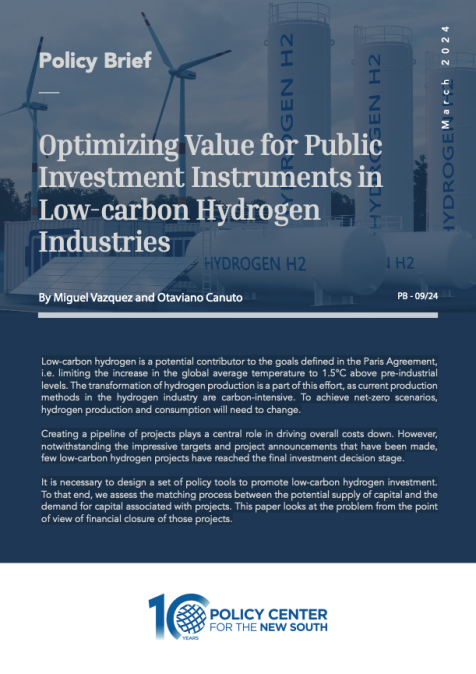 Optimizing Value for Public Investment Instruments in Low-carbon